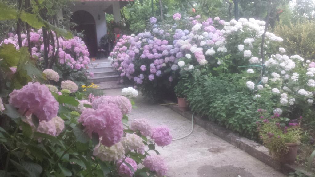Camping Late Gjirokastra Kültér fotó