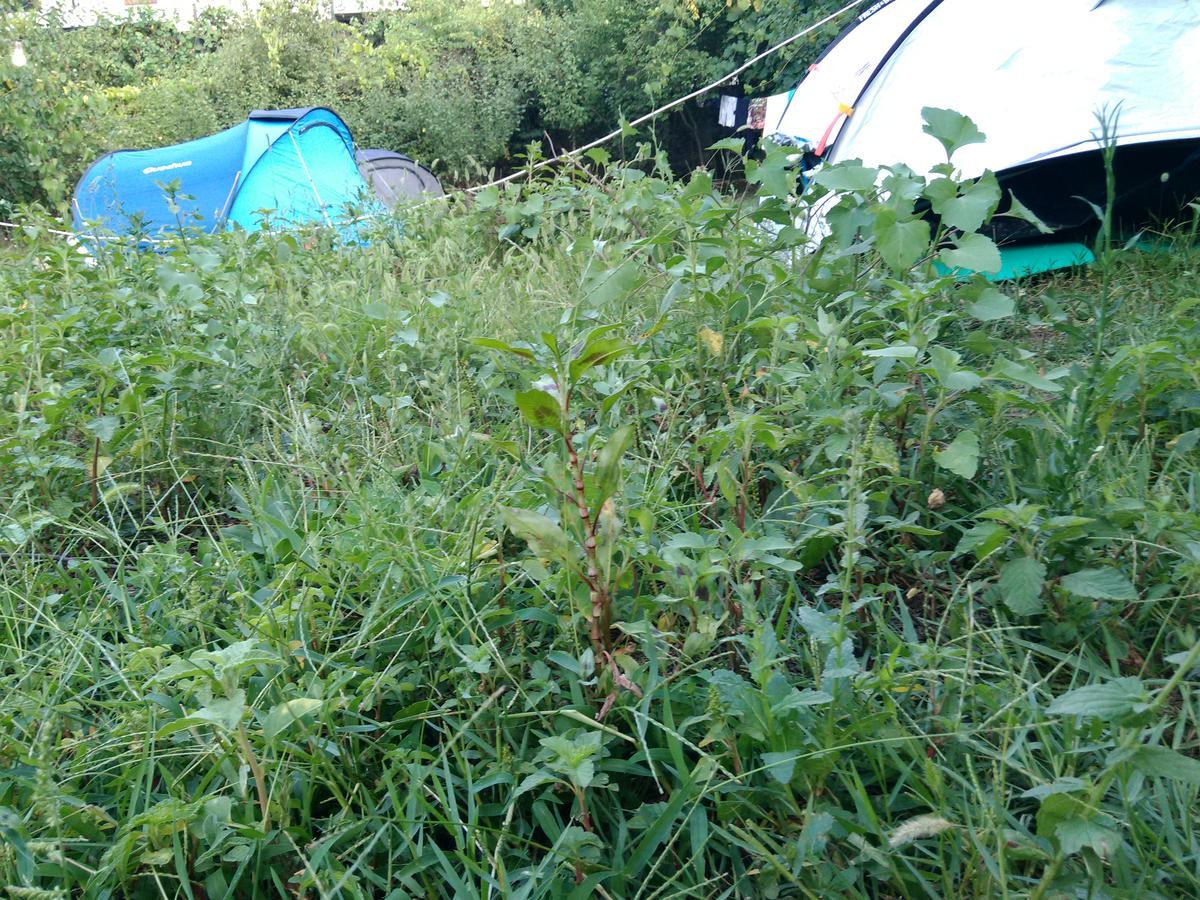 Camping Late Gjirokastra Kültér fotó